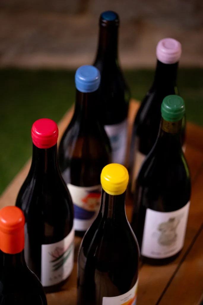 Bouteilles de vin aux capsules de cire colorées, vues de dessus